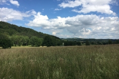 Widok na lasy turyńskie